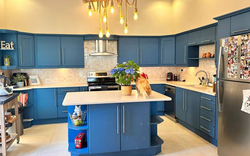 Kitchen cabinets wrapped in a deep blue matte finish