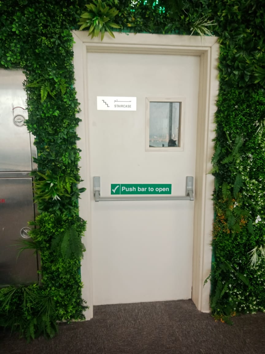Green wall and door project